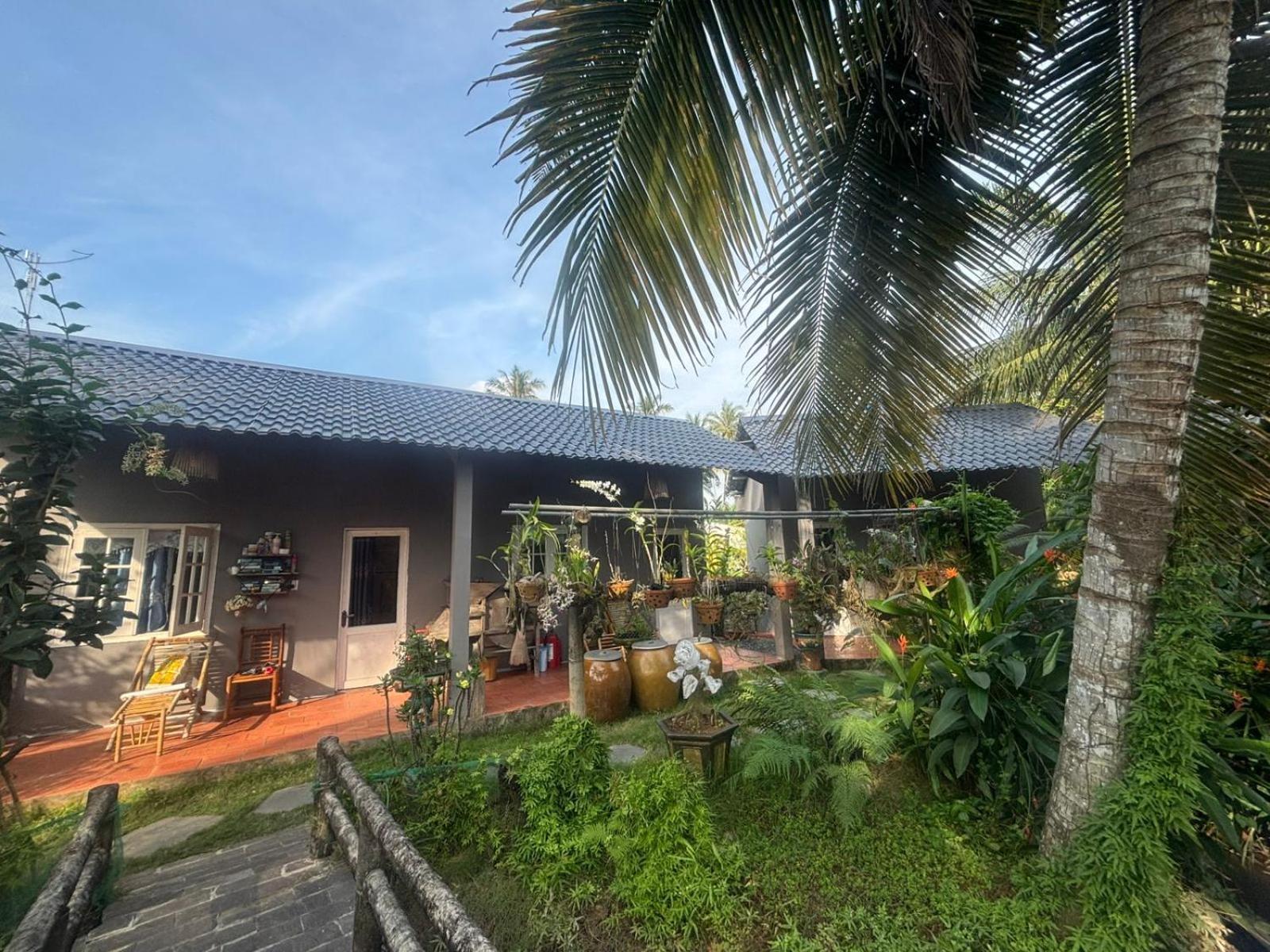 Bentre Coco Ben Tre